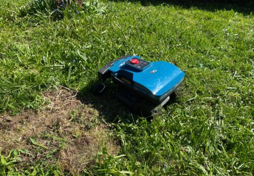 Lawn preparations before a robotic mower installation