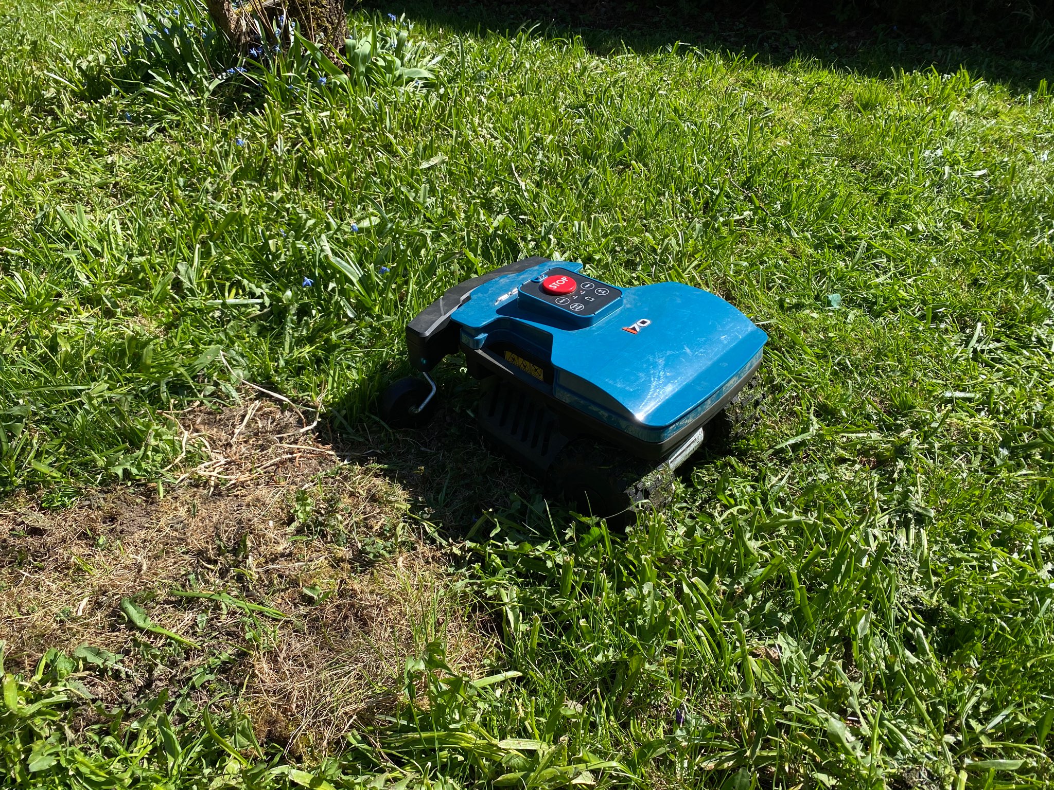 Lawn preparations before a robotic mower installation